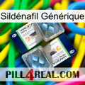 Sildénafil Générique viagra5